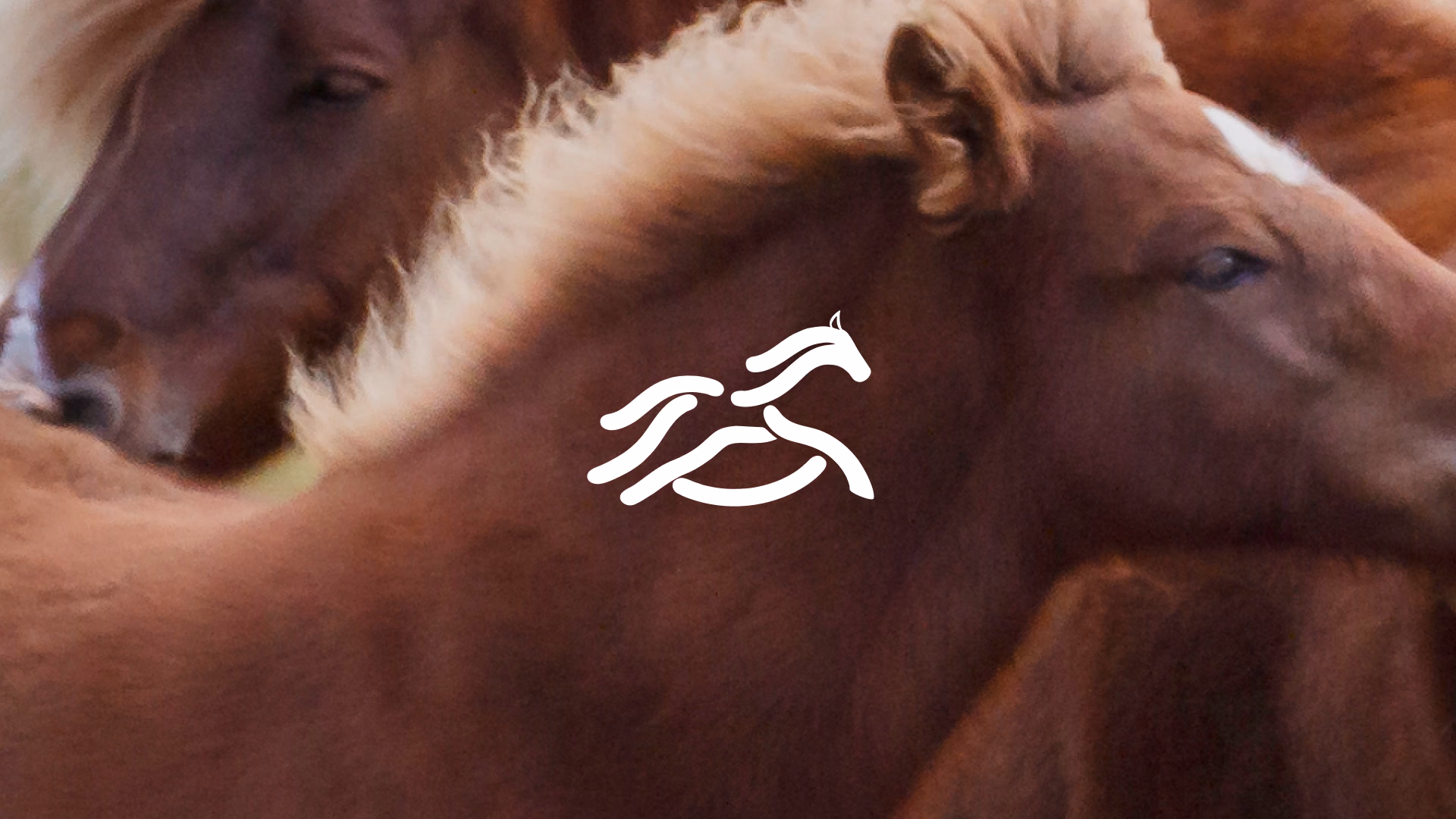 Stride delivers 1-minute equine gait analysis with Ultralytics YOLO