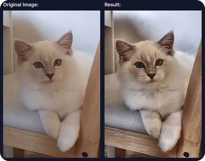 Ein Blick auf die Augmentierung eines Katzenbildes