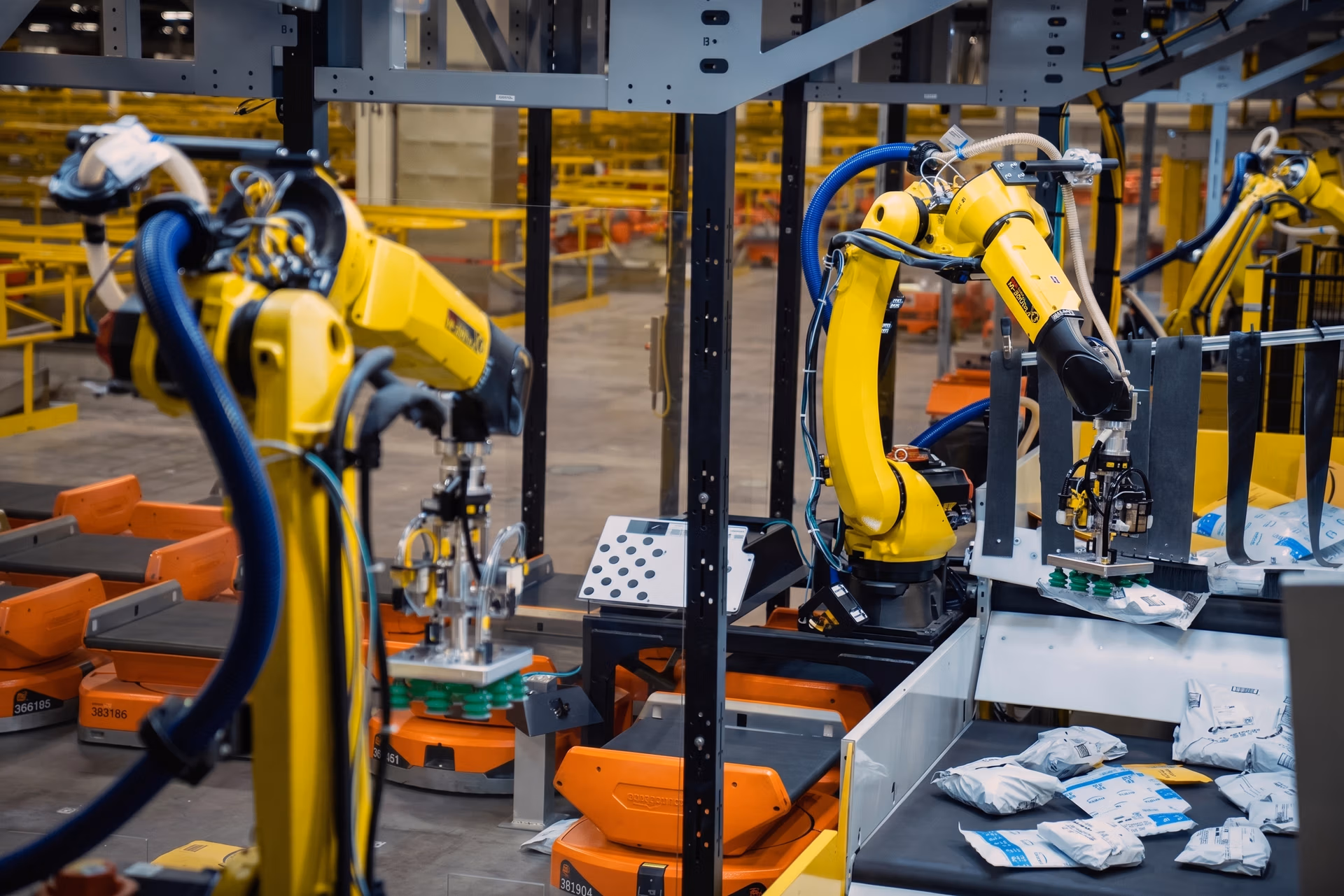 Robin robot using AI and computer vision to sort packages for quality control