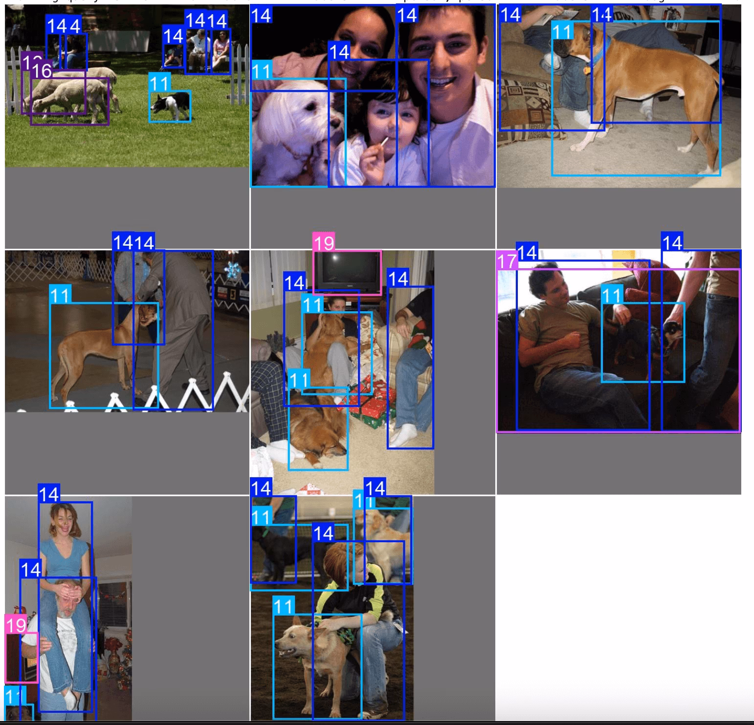 Visualisierung der übereinstimmenden Bilder aus der SQL-Abfrage