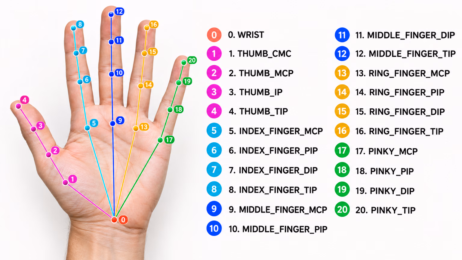 Hand keypoint schema with 21 numbered landmarks, from 0 wrist through each finger's joints to 20 pinky tip