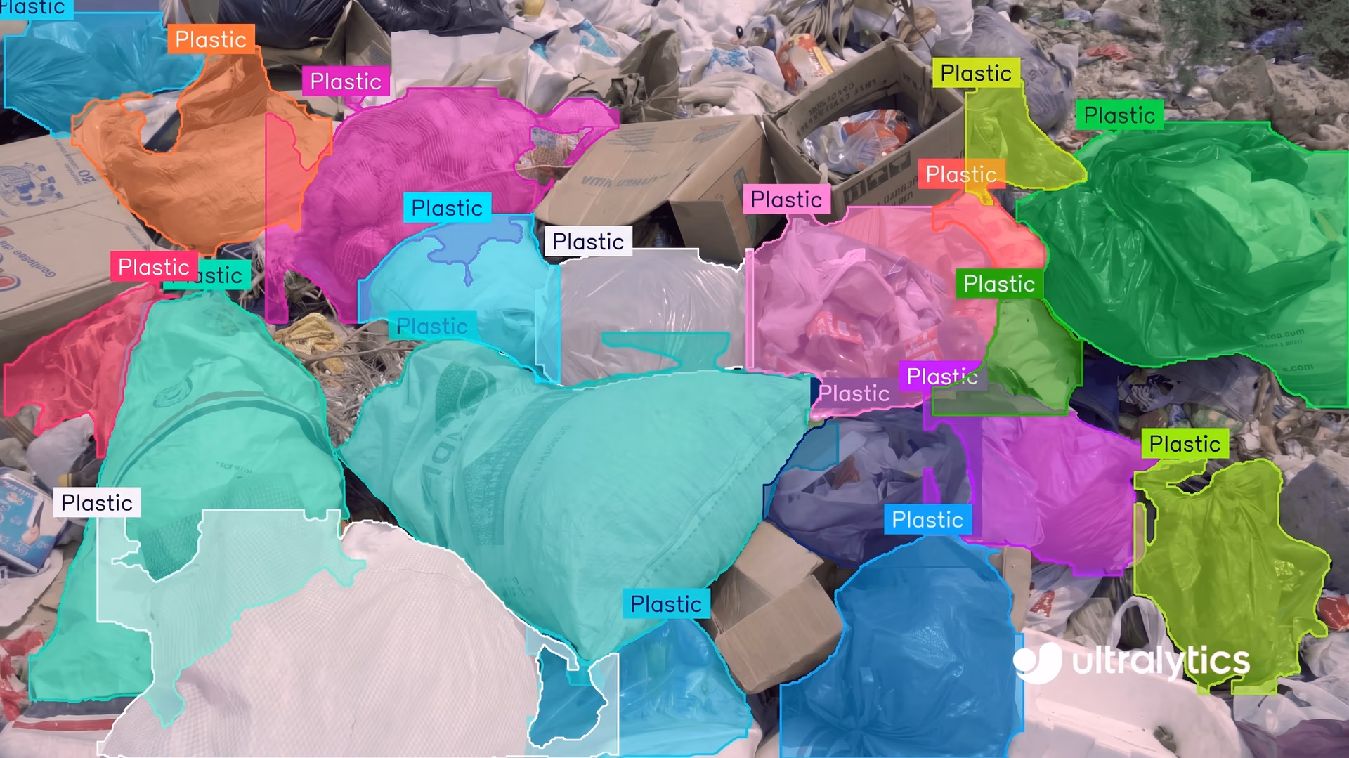 Ultralytics YOLO11 detecting and segmenting objects in an image