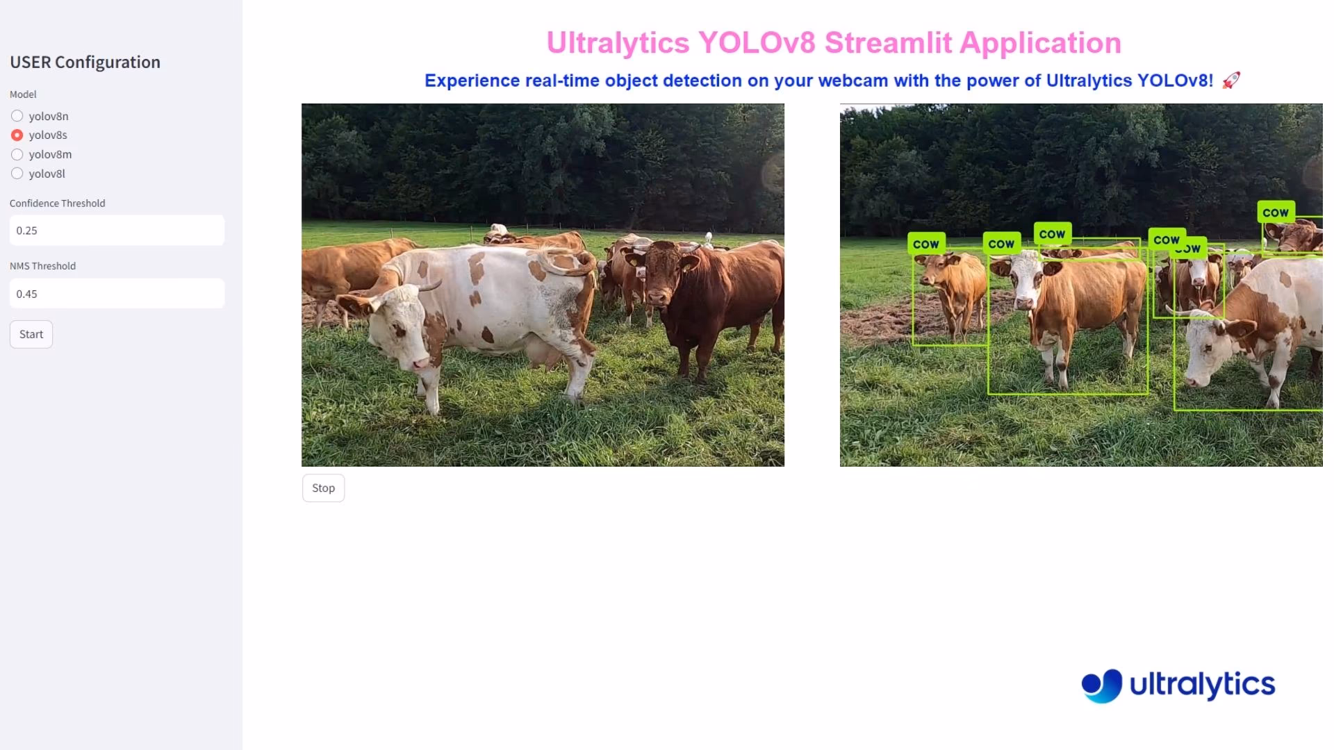 Animals Detection using Ultralytics YOLO26