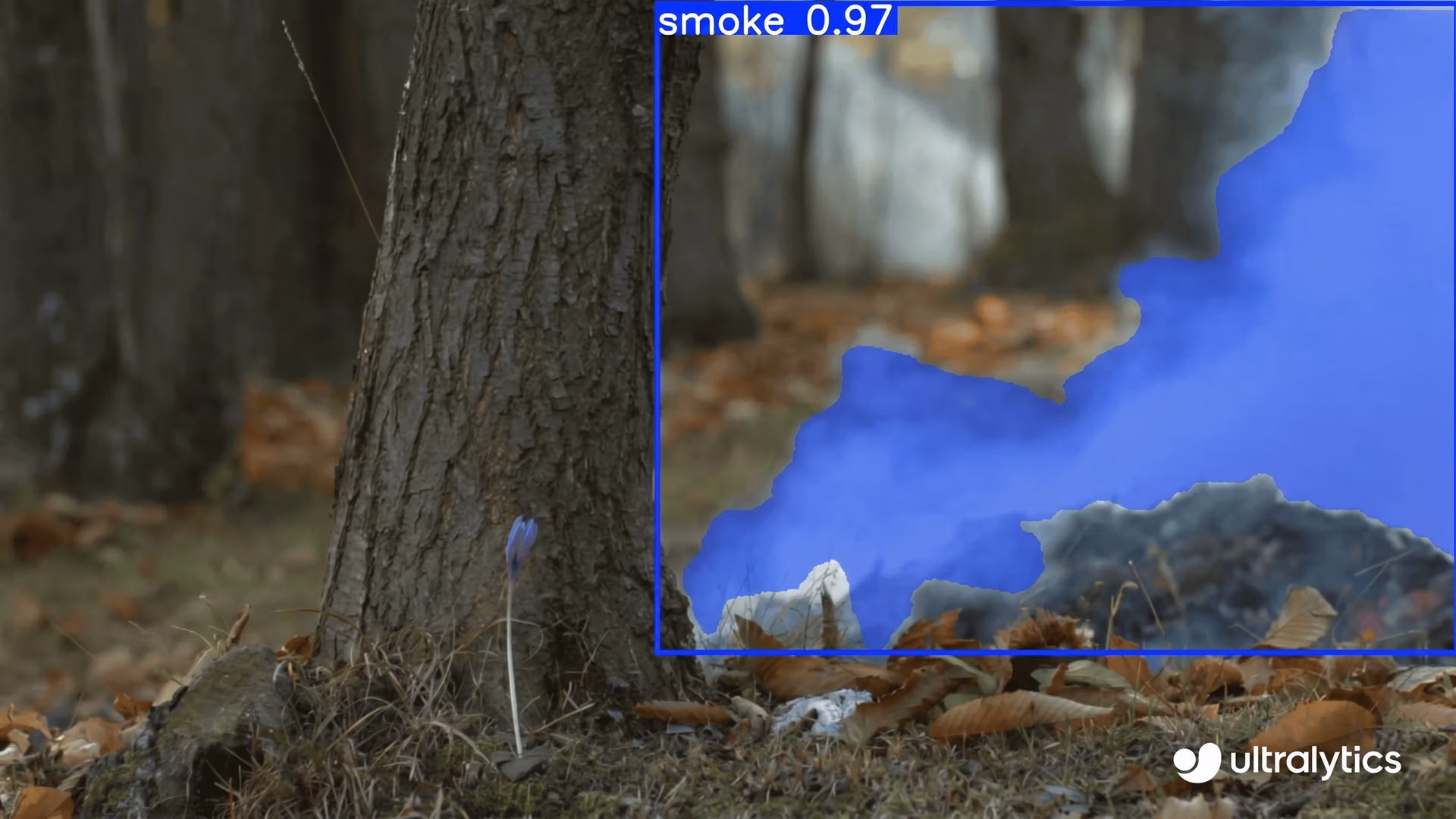 Using Ultralytics YOLOv8 for smoke detection