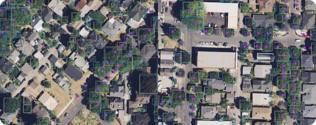 Identificazione di alberi urbani utilizzando dati aerei ad alta risoluzione