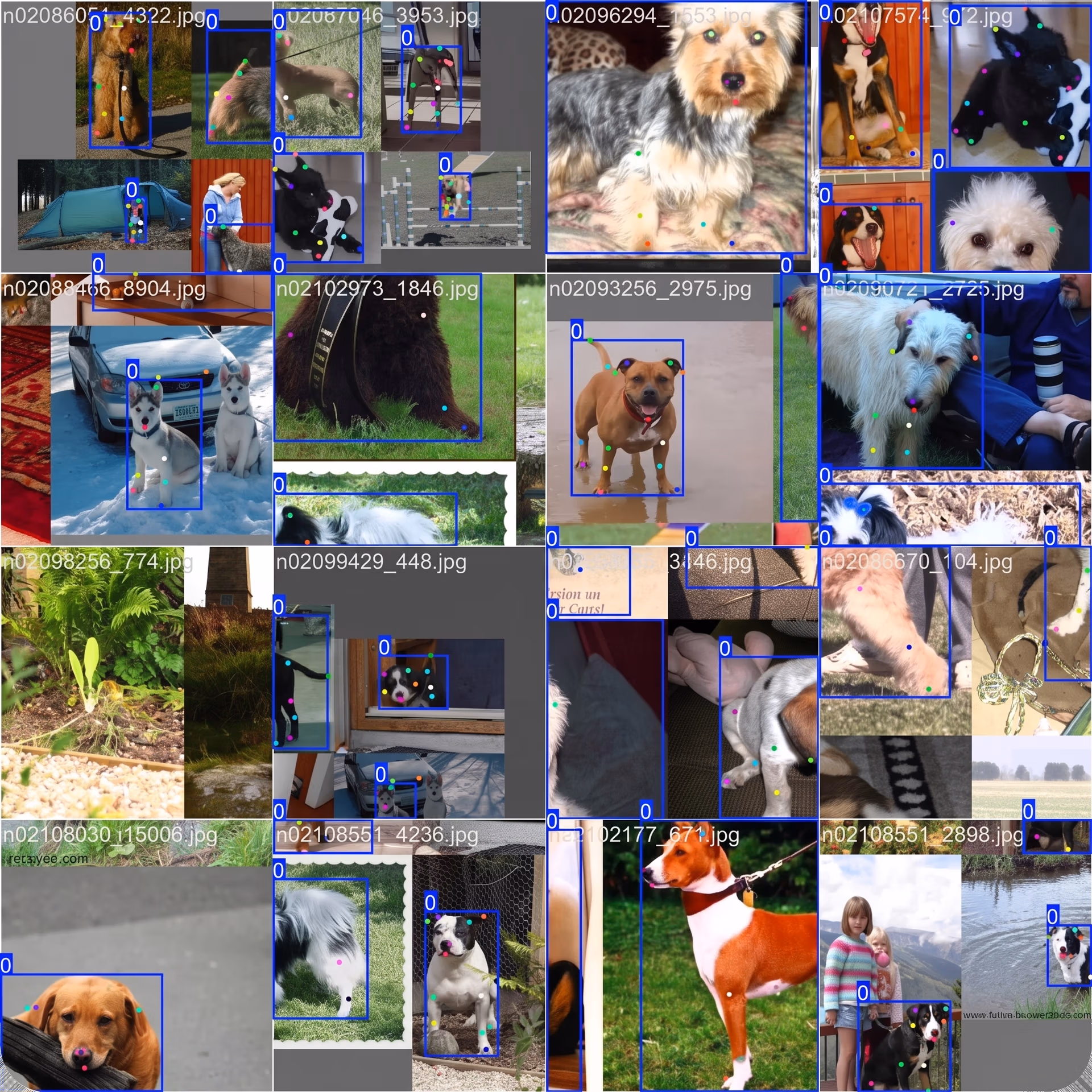 Eine Übersicht über den Dog-Pose Dataset