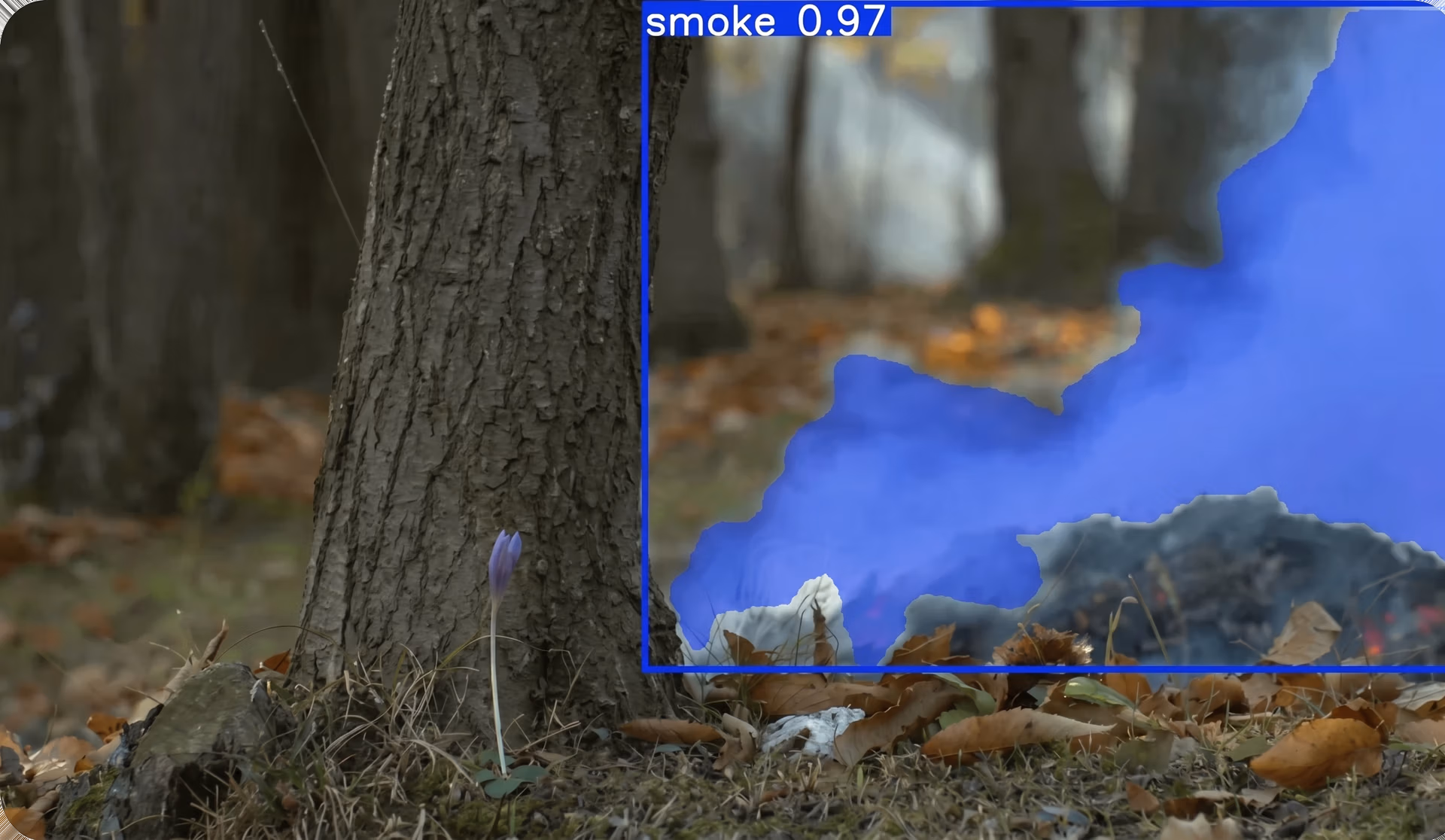 Smoke detection and segmentation using YOLO