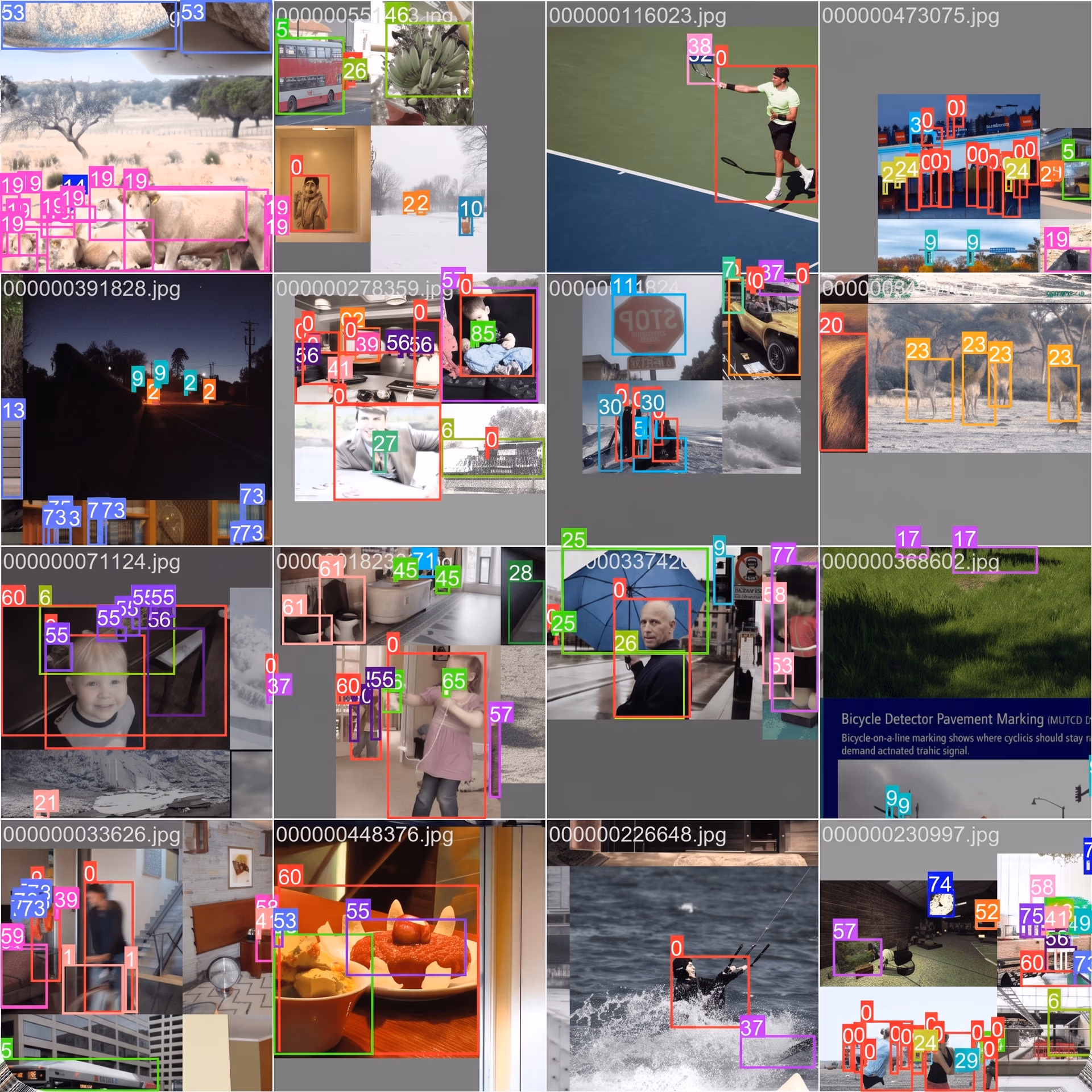 Examples of data in the COCO dataset