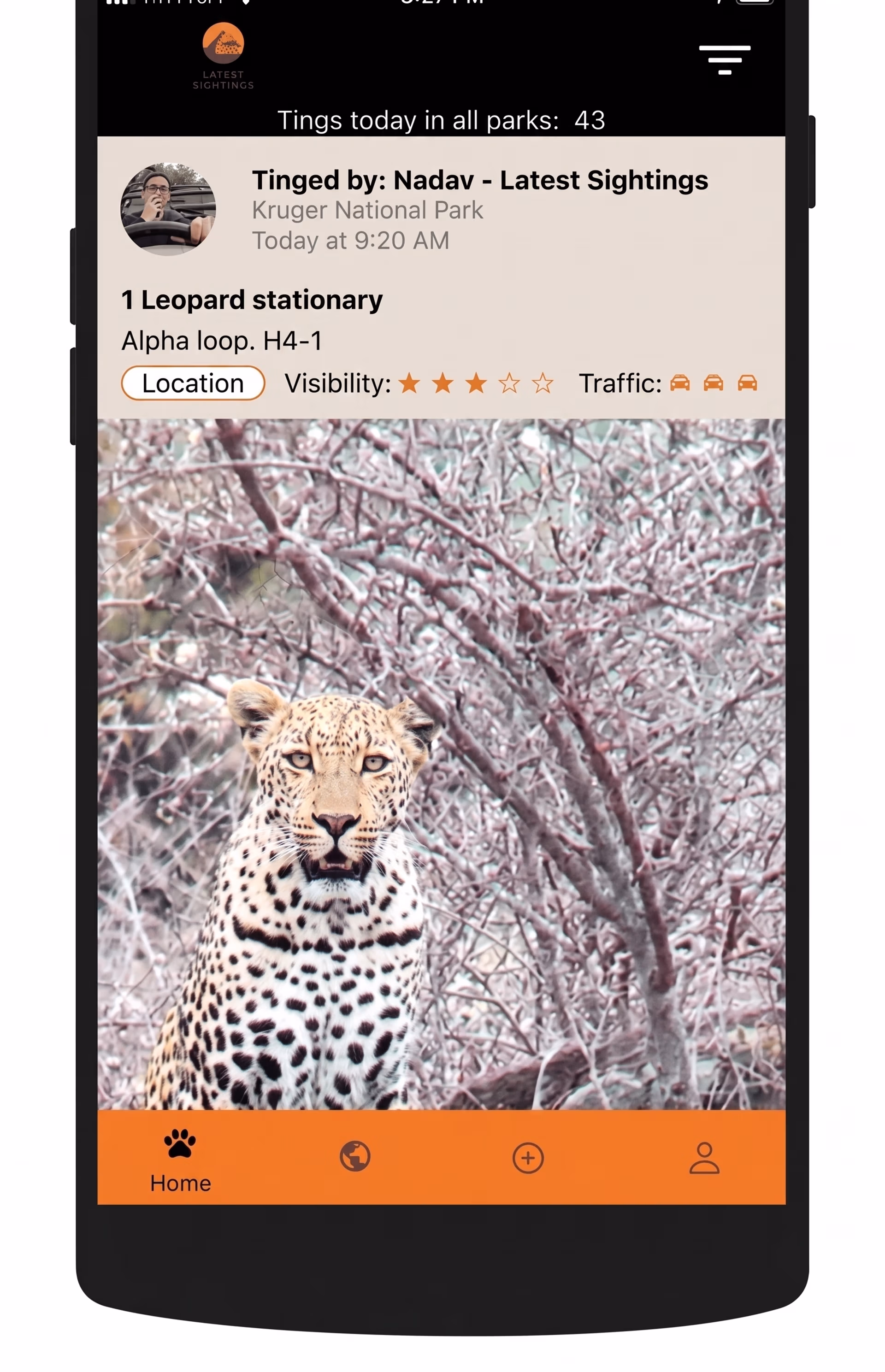 Latest Sightings App, Leopard
