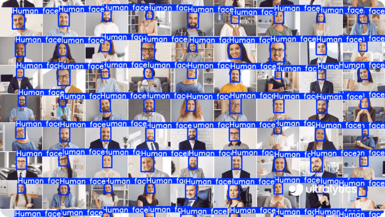 YOLO11 détectant des visages humains