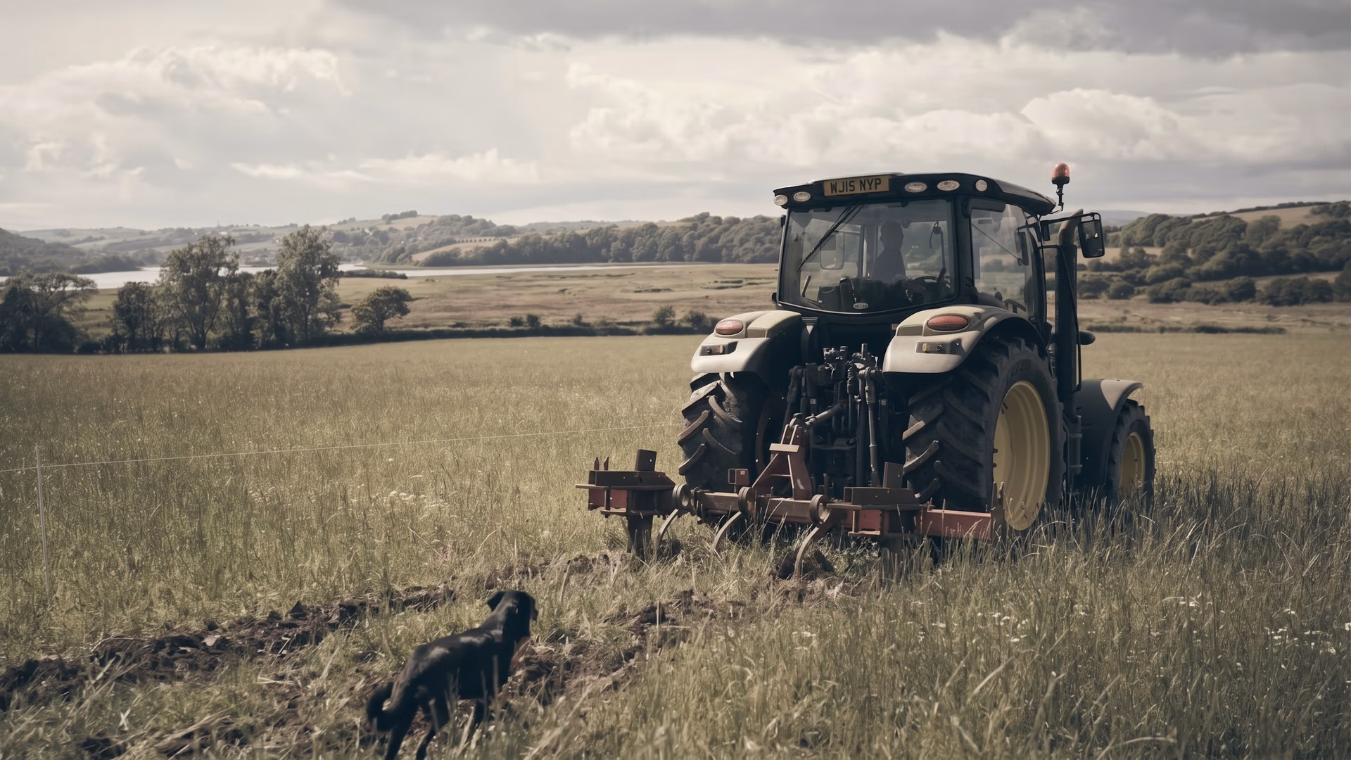 Benefícios da Vision AI para a agricultura