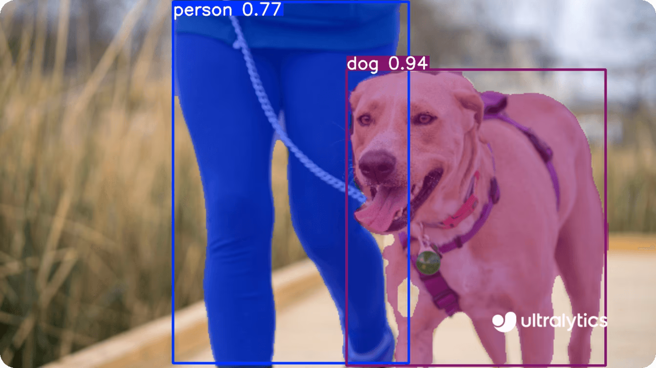 Uso de YOLO11 para detectar y segmentar una persona y un perro