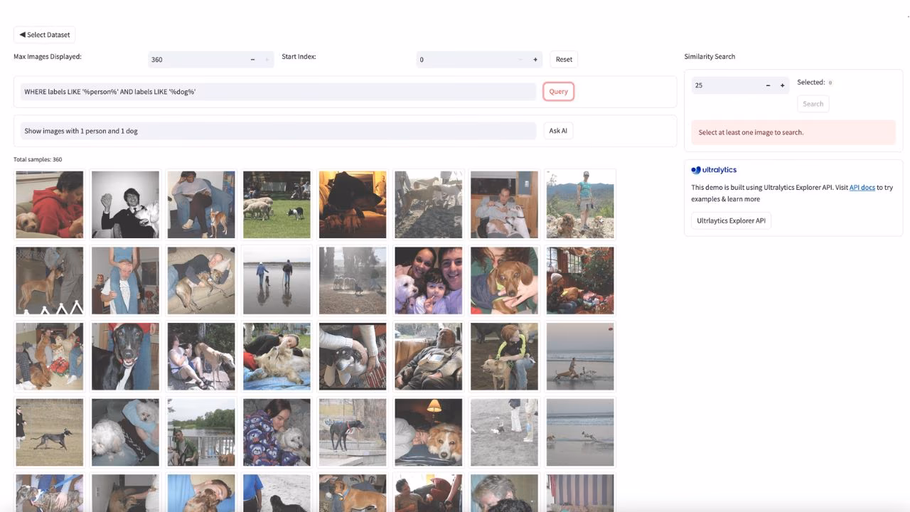 Explorer SQL query filtering images with person and dog