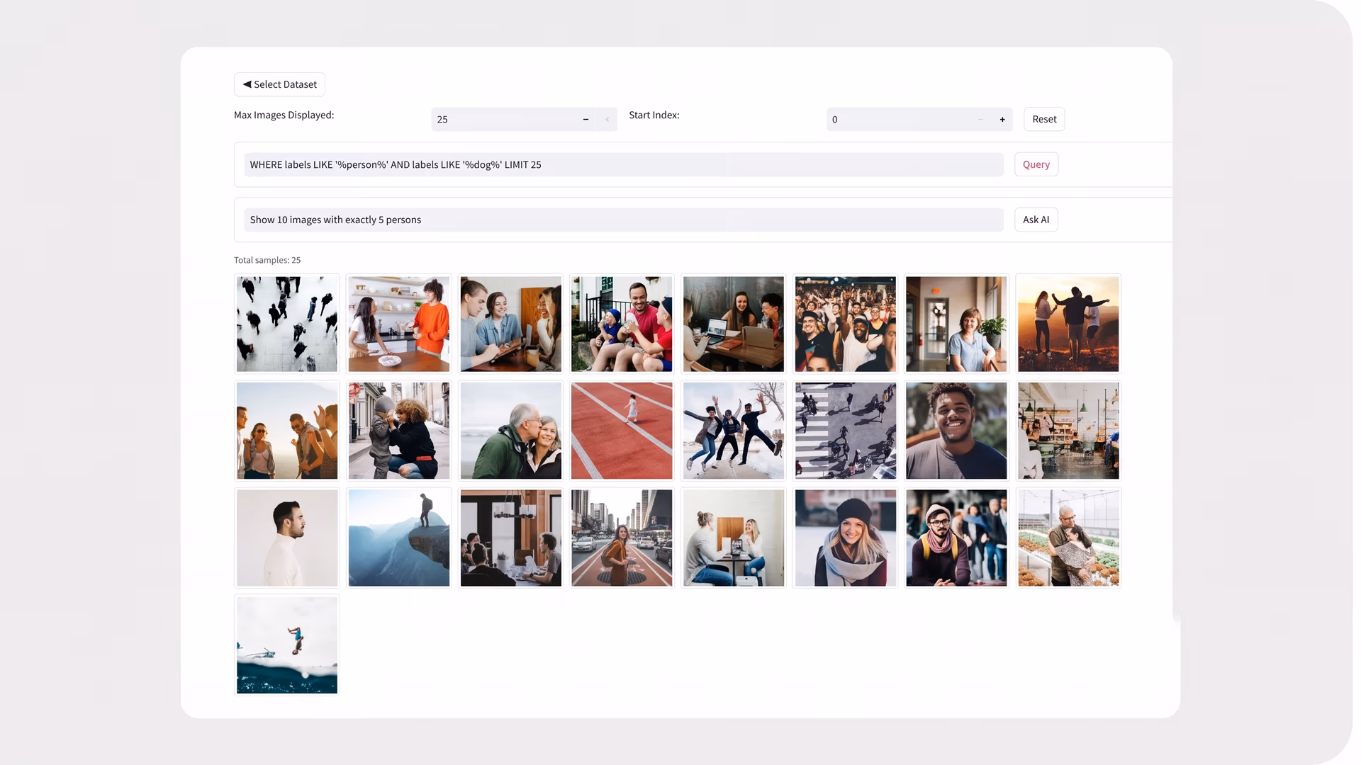 Ultralytics Explorer-Screenshot mit einem Beispieldatensatz