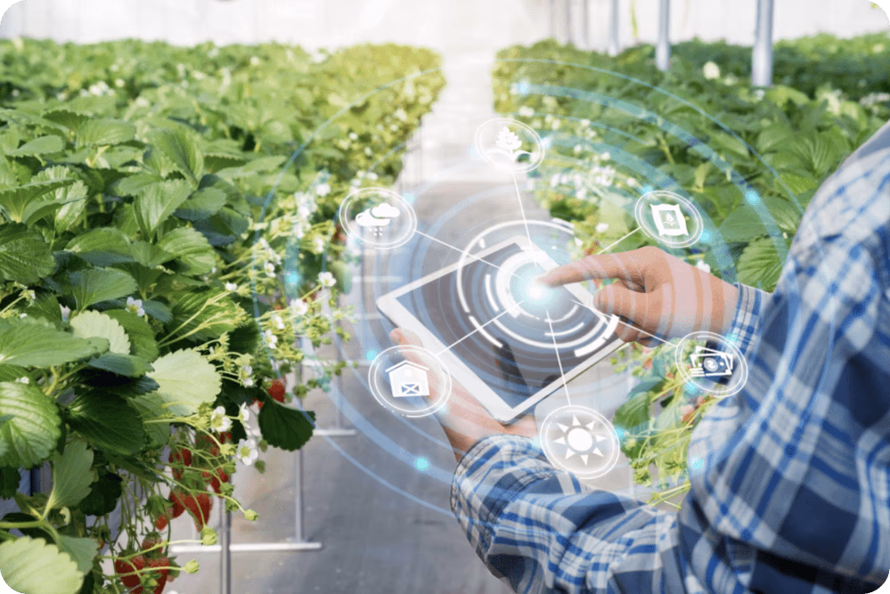 Rôle de l'IA dans l'agriculture