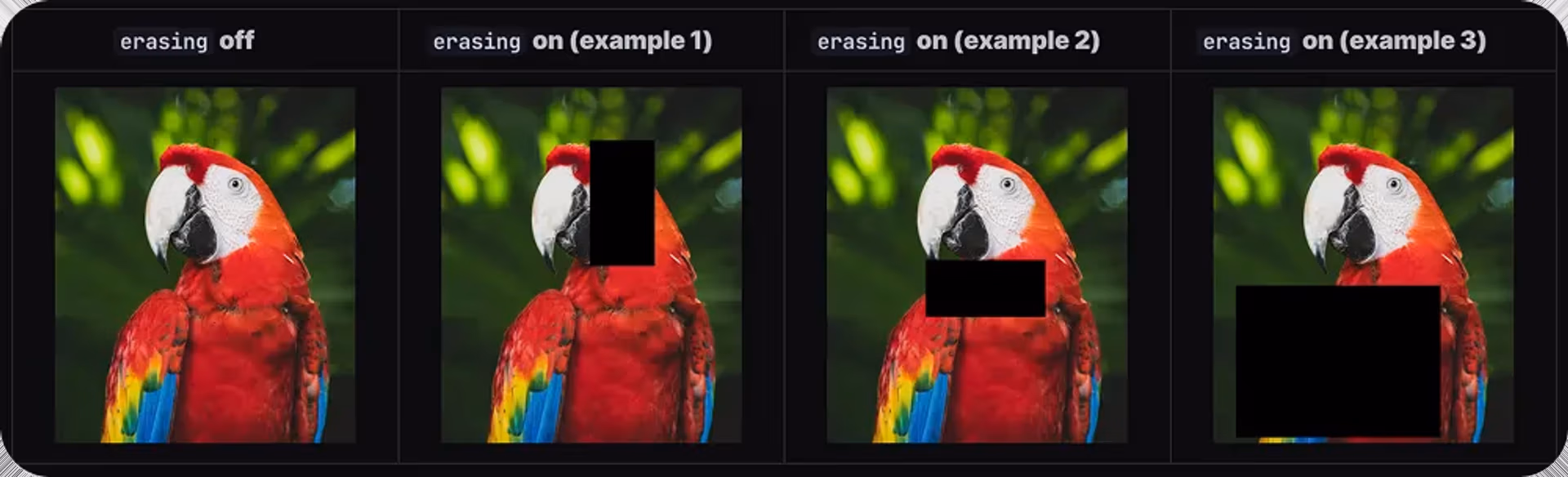 Examples of random erasing-based augmentation