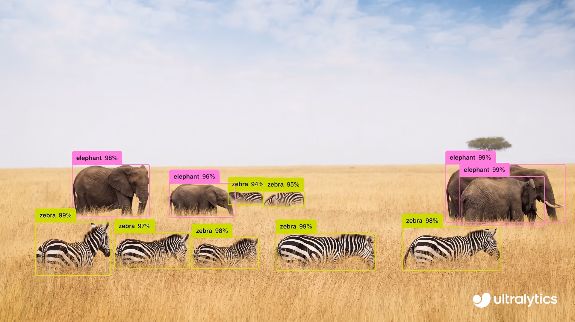 Ultralytics YOLO26 for object detection