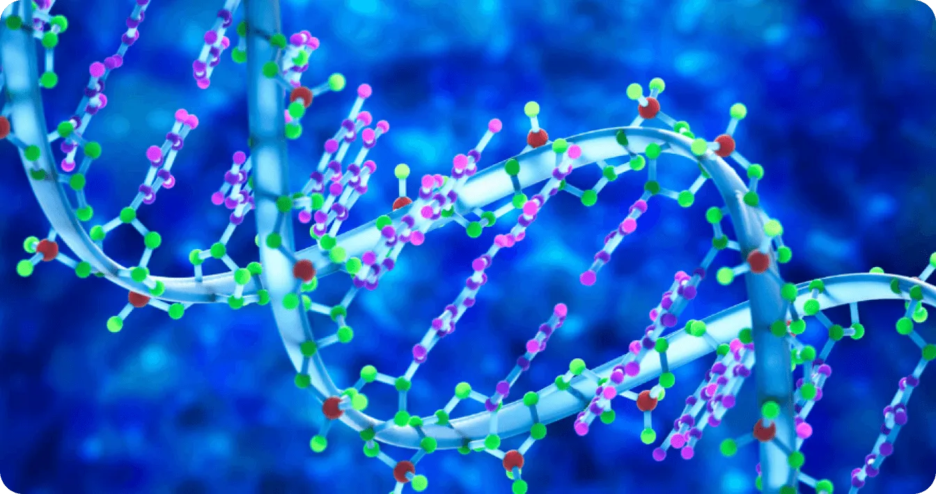 Dupla hélice de DNA transportando informação genética em organismos vivos