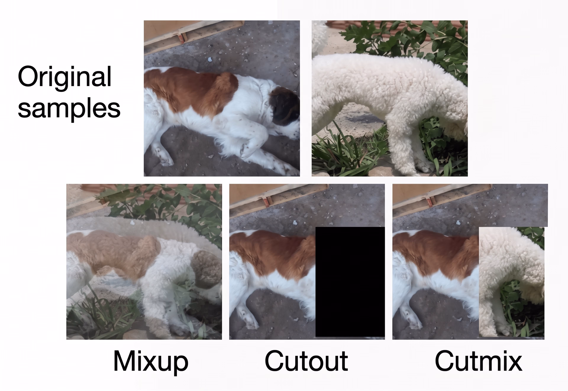 Advanced image data augmentation techniques like MixUp, CutMix, and CutOut