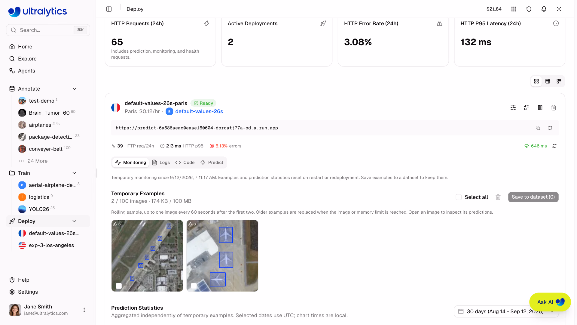 Ultralytics Platform Deployment Monitoring Temporary Examples And Statistics