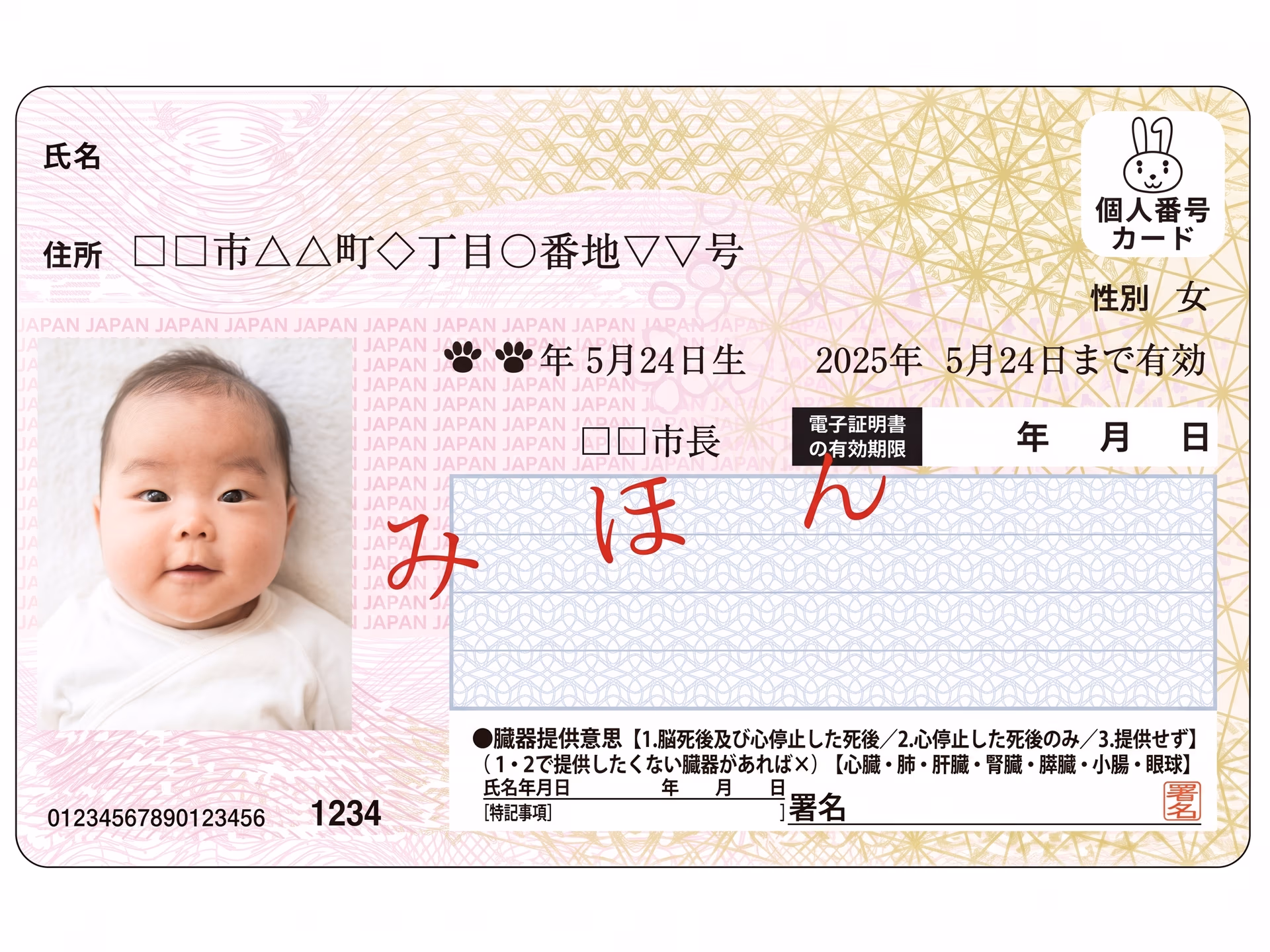 A Japanese My Number Card