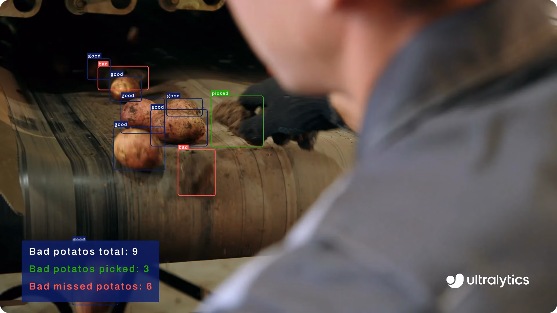 Using YOLO to detect and count healthy and defective potatoes