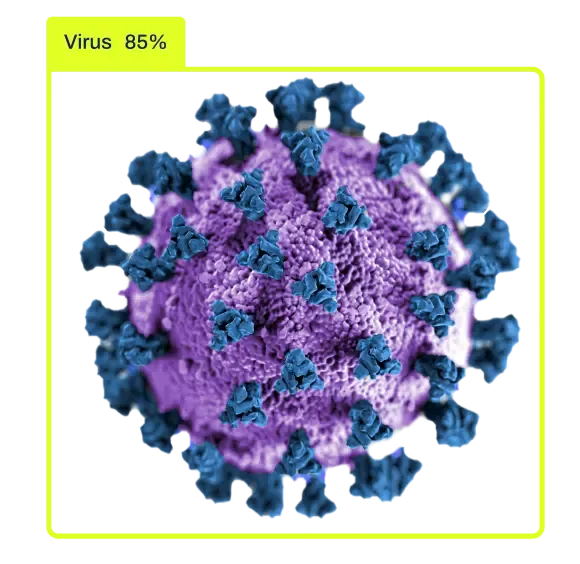 Phát hiện virus