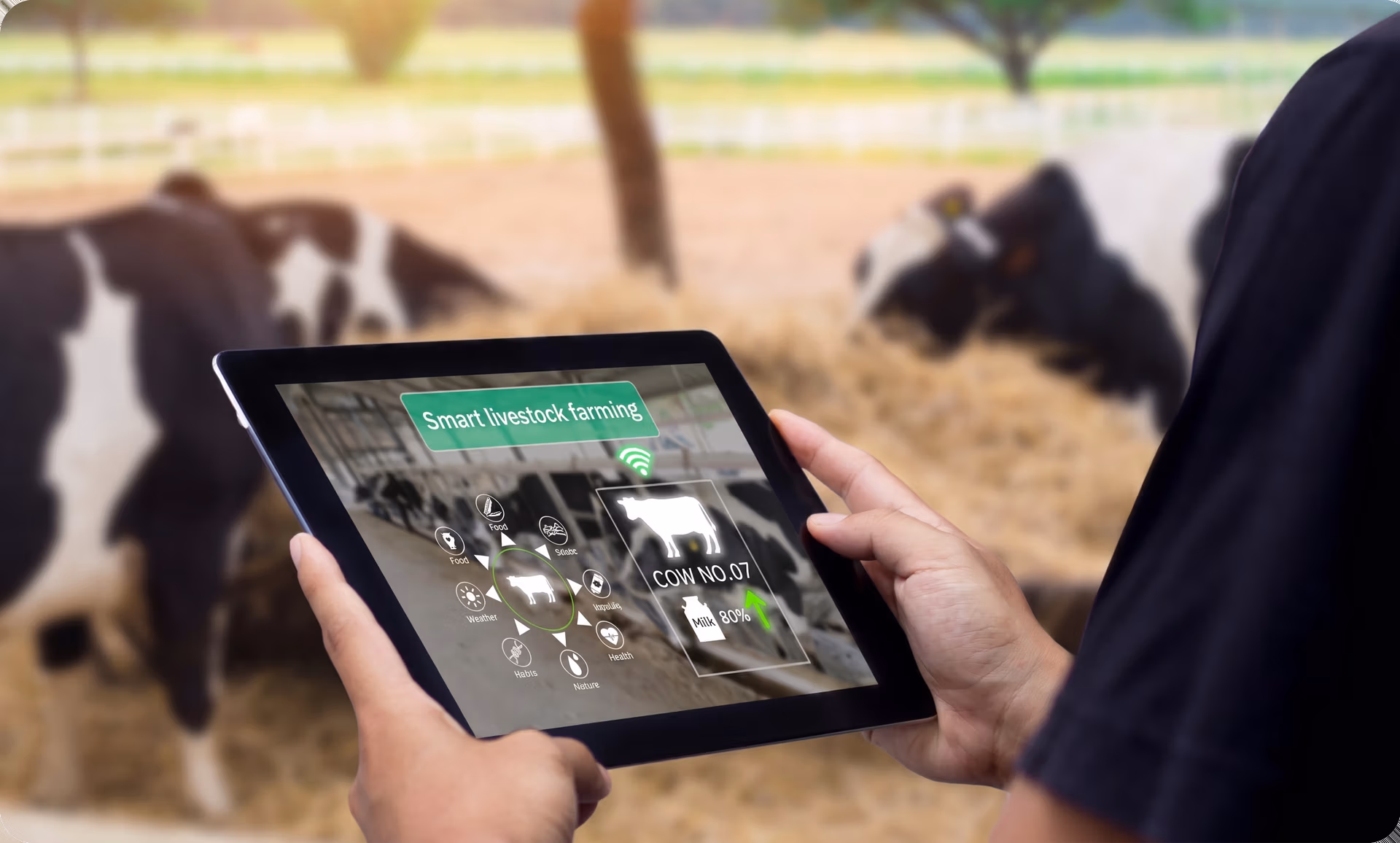 A farmer's daily life can be changed by AI