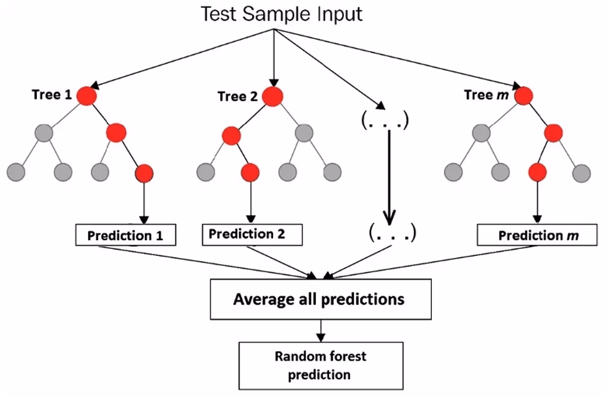 Random Forest algoritmasına bir bakış