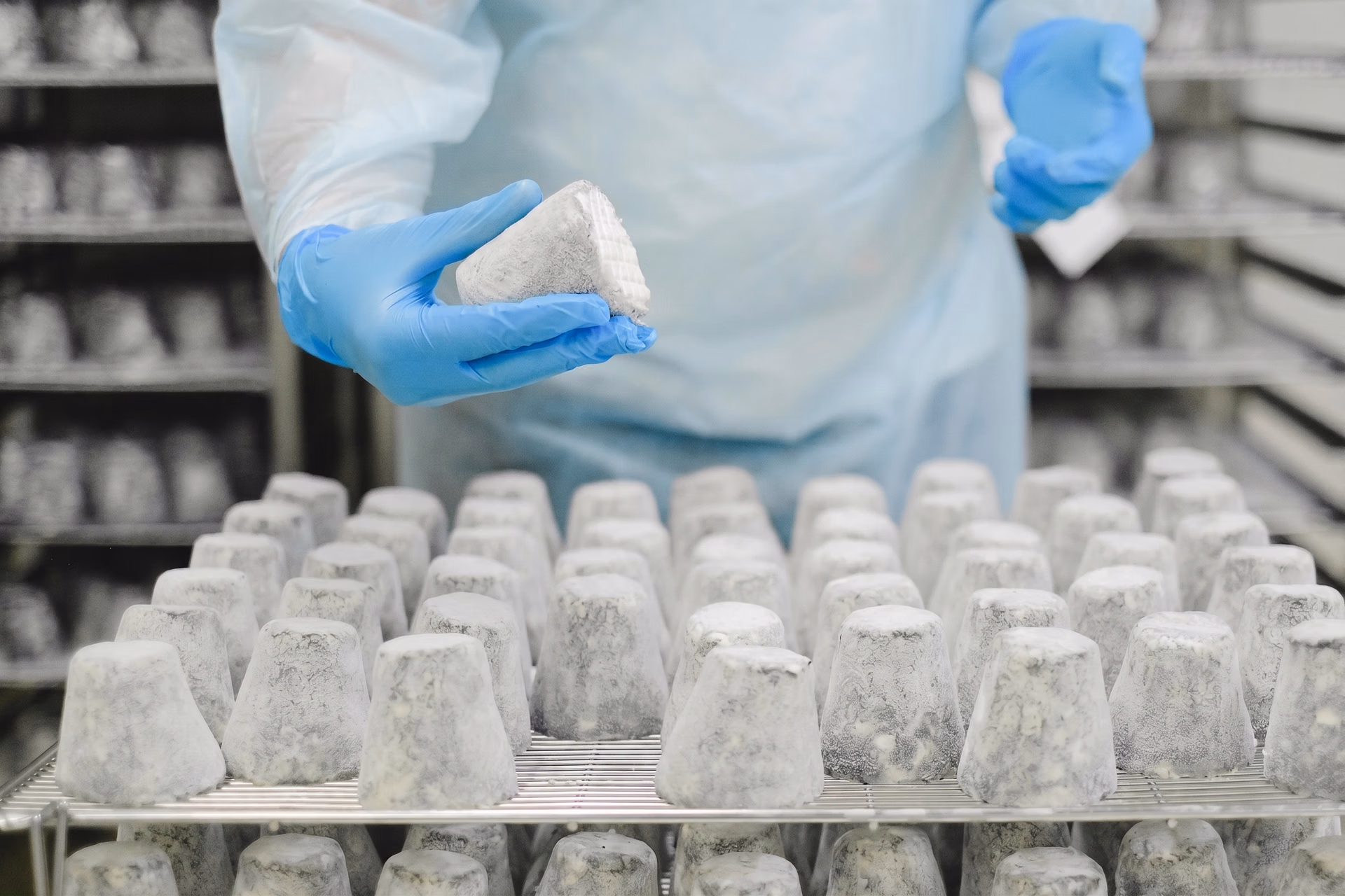 Manufacturing ERP guide