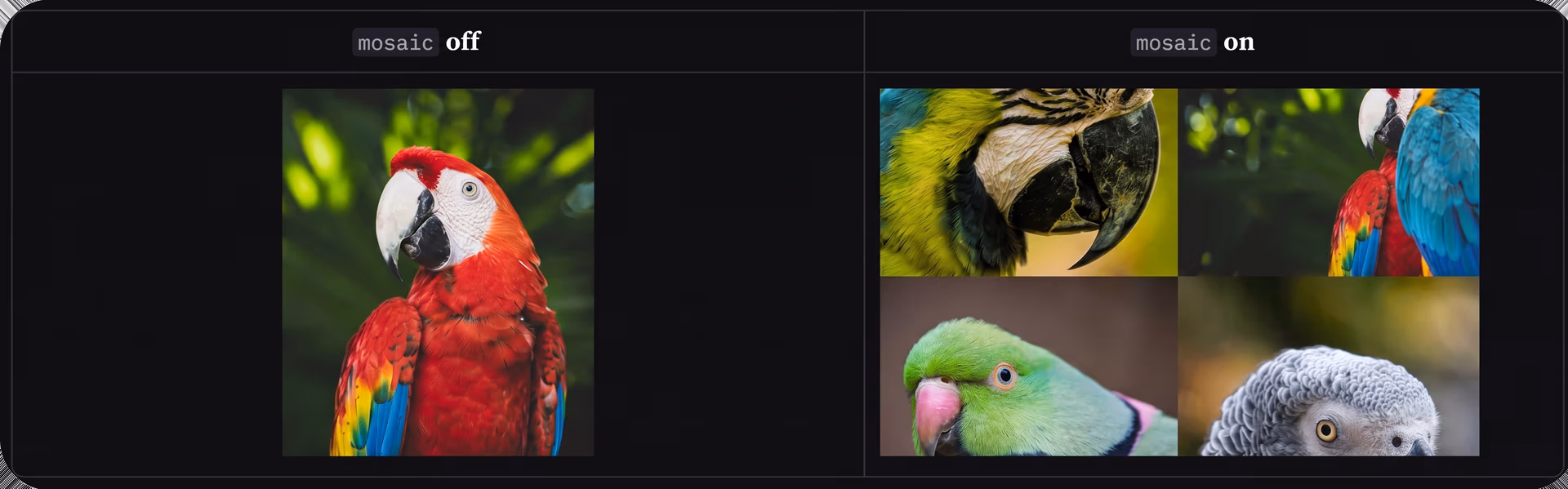 A multi-image augmentation example