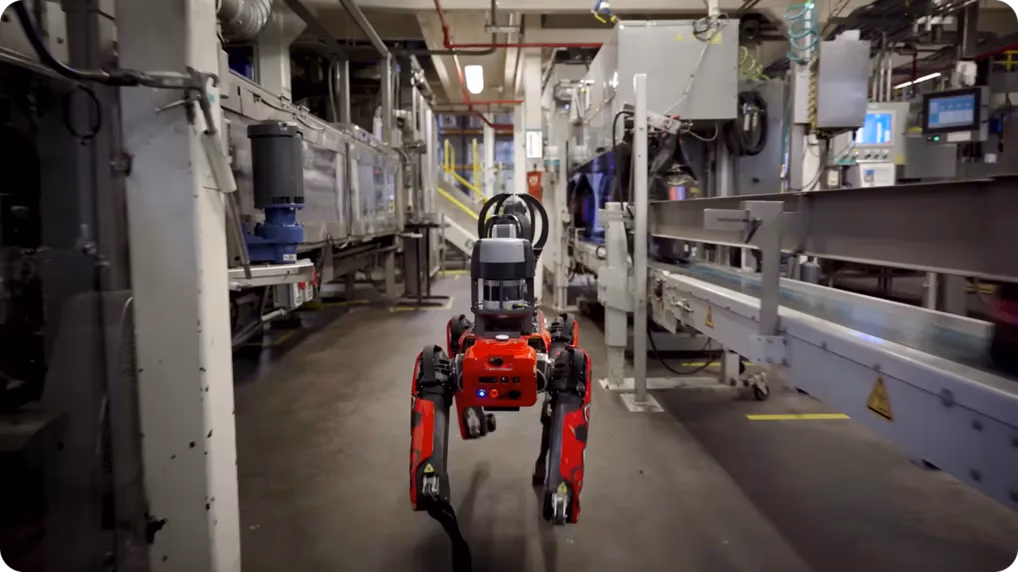 Spot, um robô industrial, inspecionando uma instalação de fabricação de alimentos