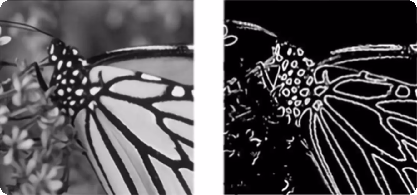 Détection de contours par Sobel mettant en évidence les principaux contours d'une image d'entrée