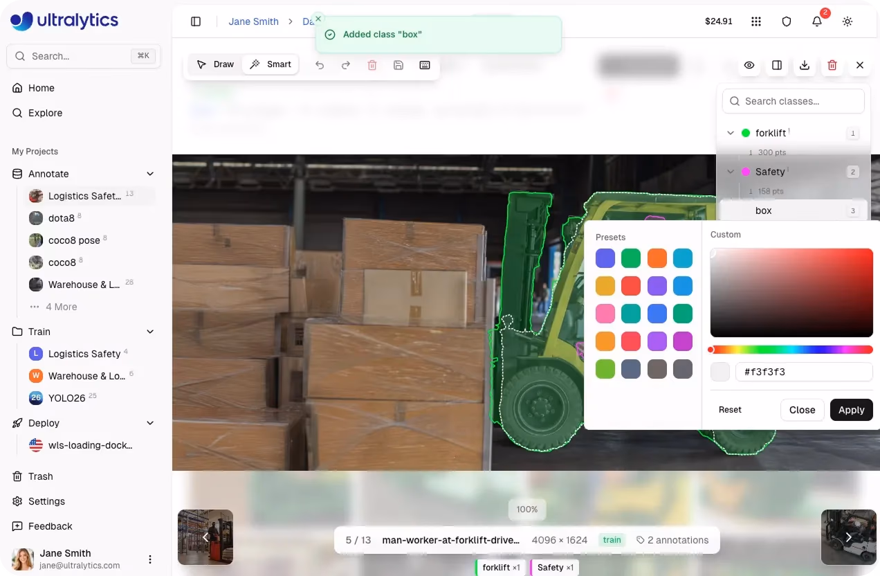 Class management in the annotation editor with label colors