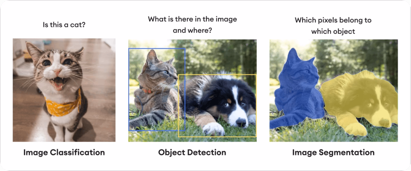 Une comparaison de la classification d'images, de la détection d'objets et de la segmentation d'images