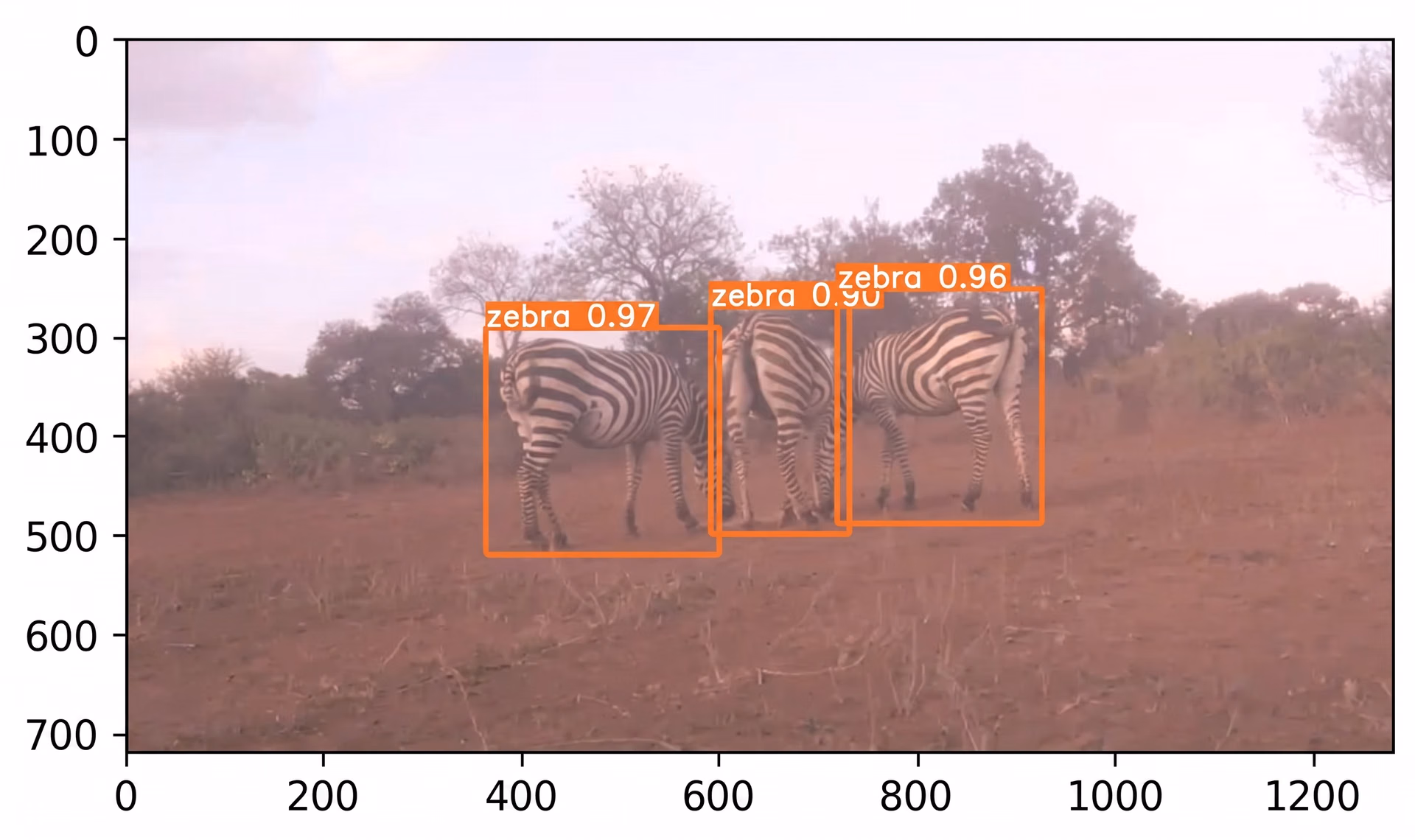 Detecting Zebras with Ultralytics YOLOv5