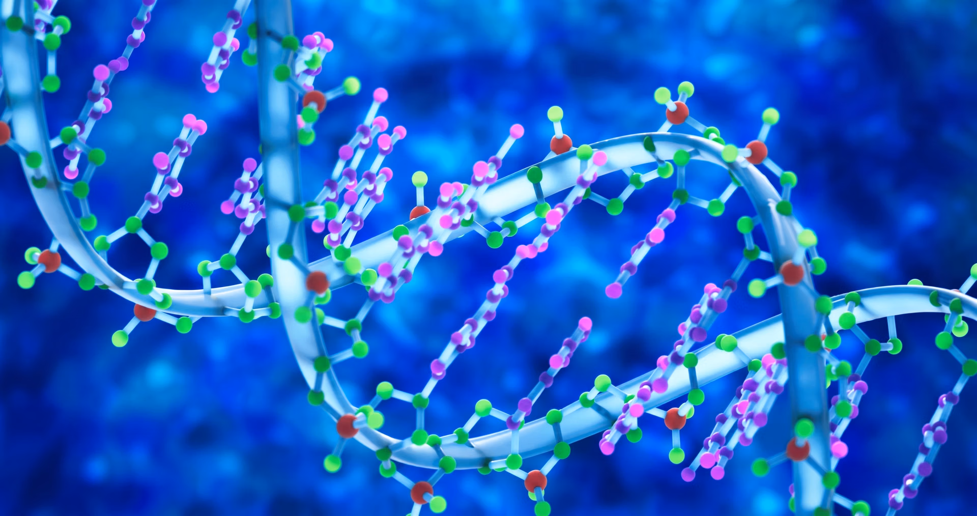 携带生物体内遗传信息的 DNA 双螺旋结构