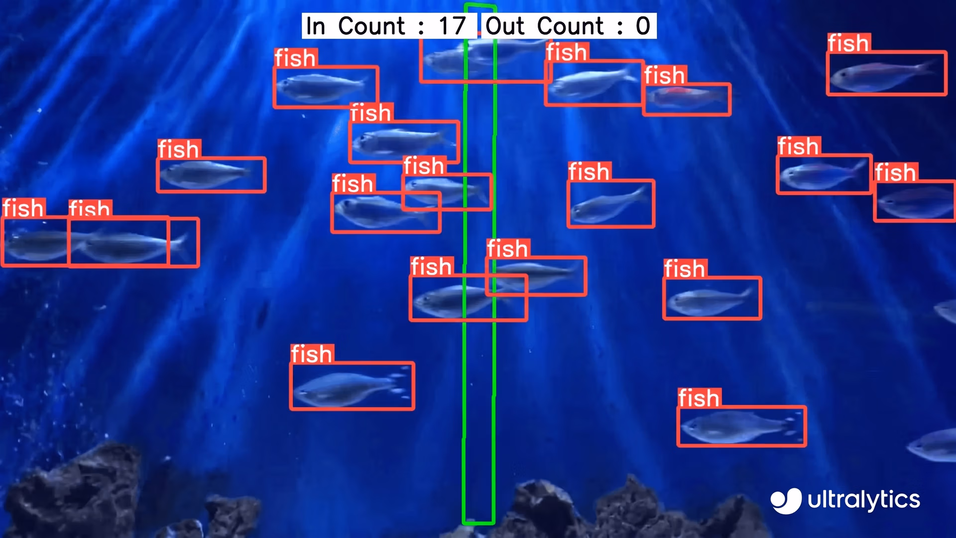 YOLOv8 tracking and counting fish