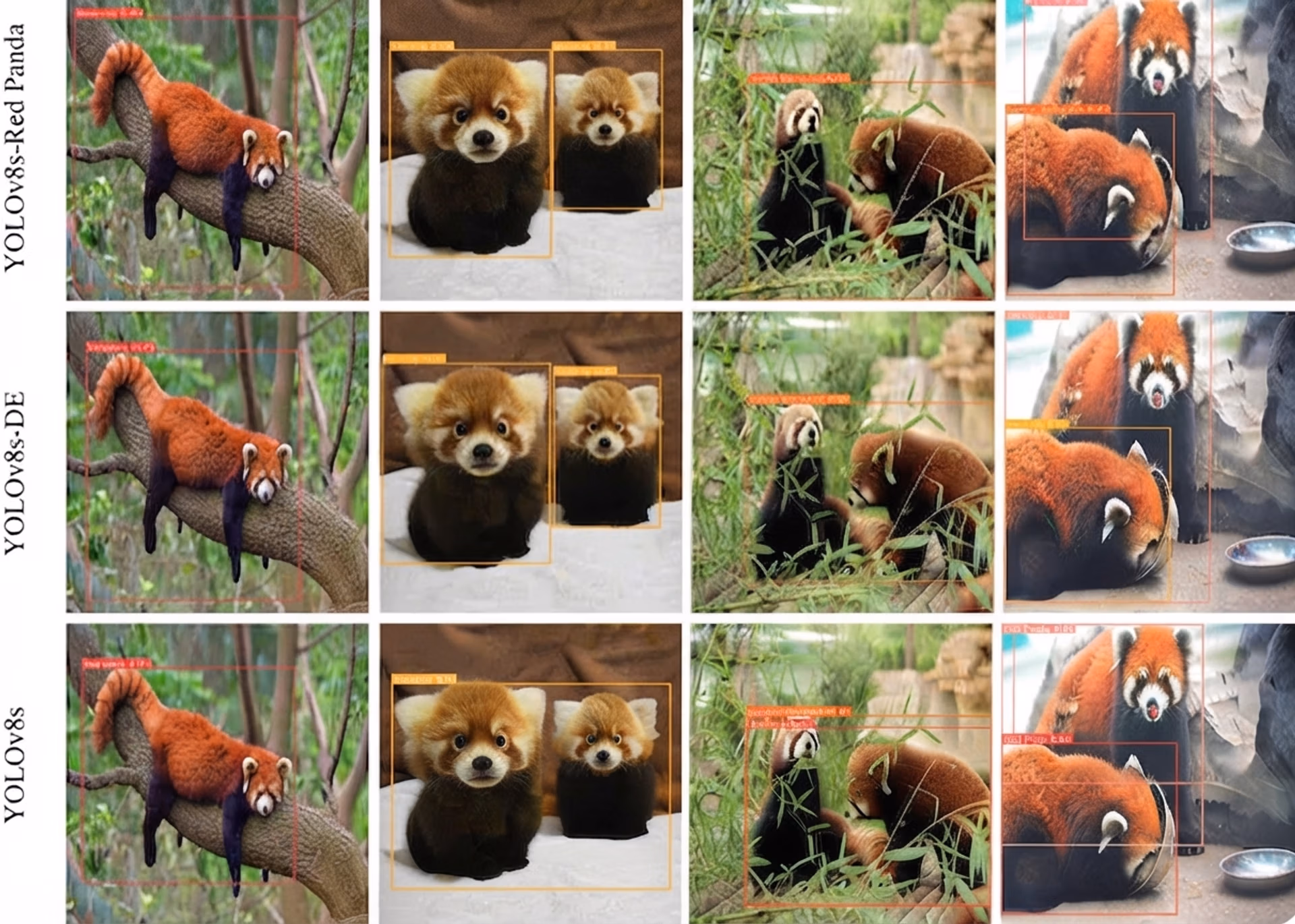 Überwachung des Verhaltens von Roten Pandas mithilfe von Computer Vision