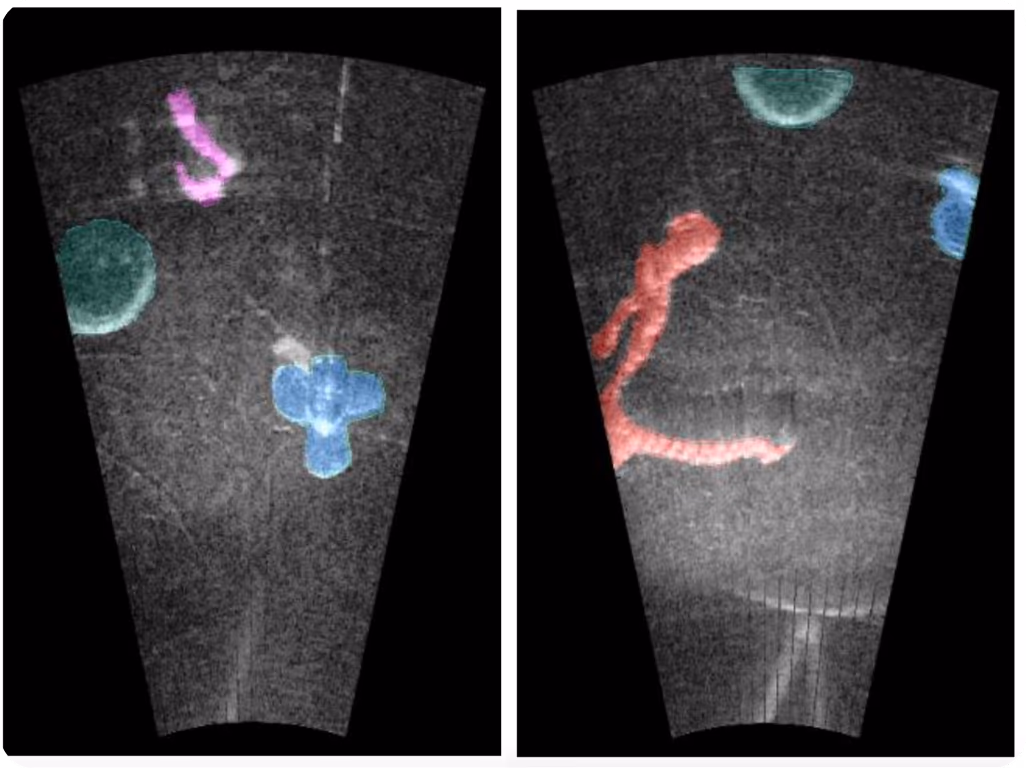 Usando SAM ajustado para segmentação de imagens de sonar