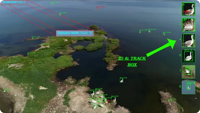 Images de drone basées sur la vision utilisées pour compter les oiseaux