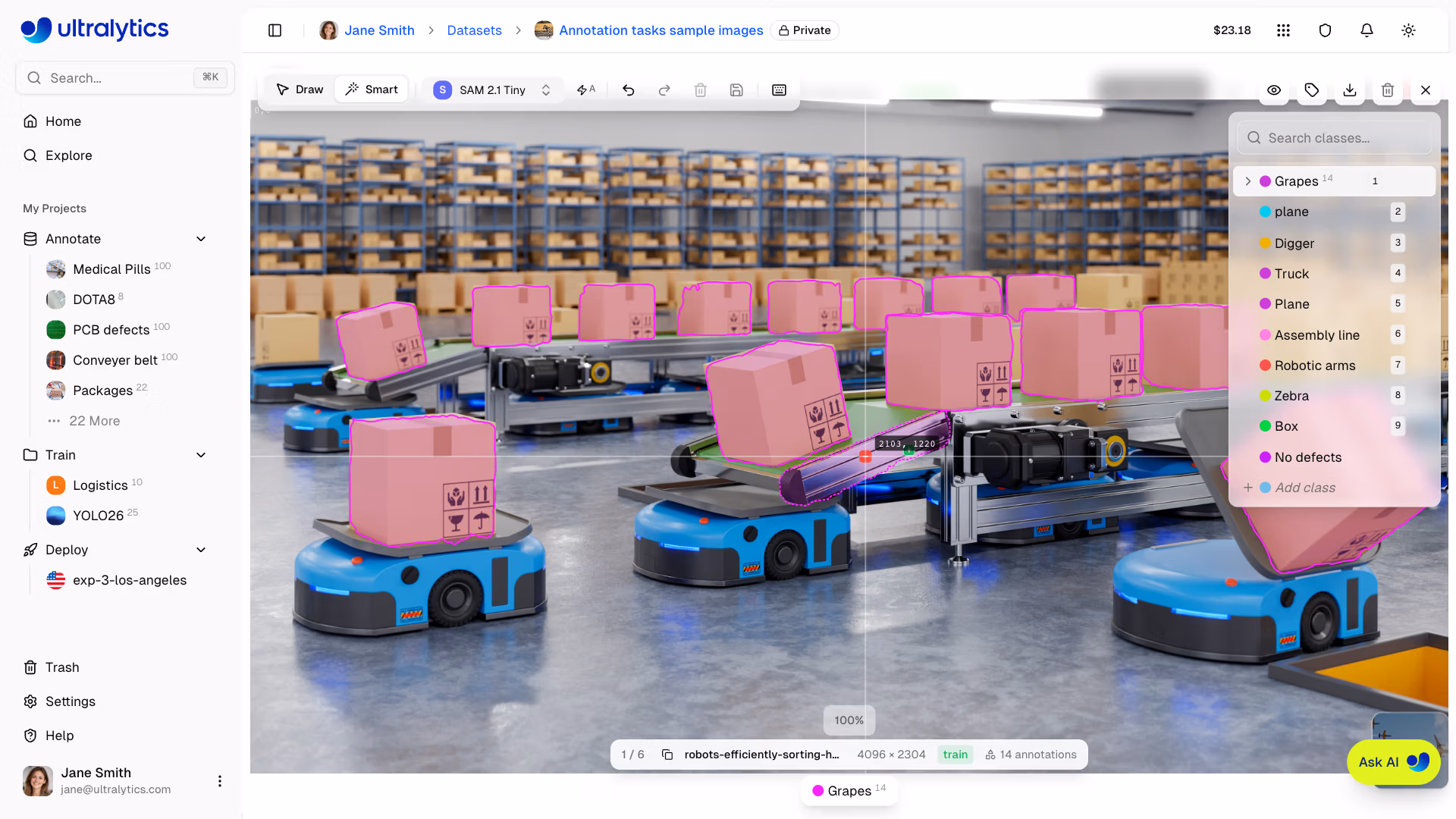 Ultralytics Platform Annotate Sam Positive Negative Points Mask