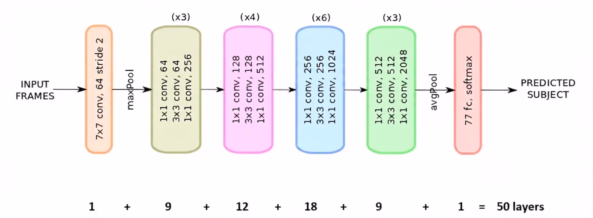 Diagram of the ResNet-50 architecture