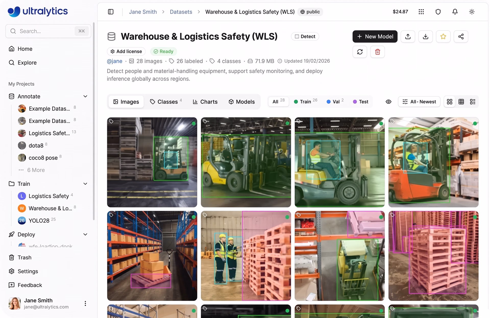 Uma vista de um conjunto de dados dentro de Ultralytics Platform