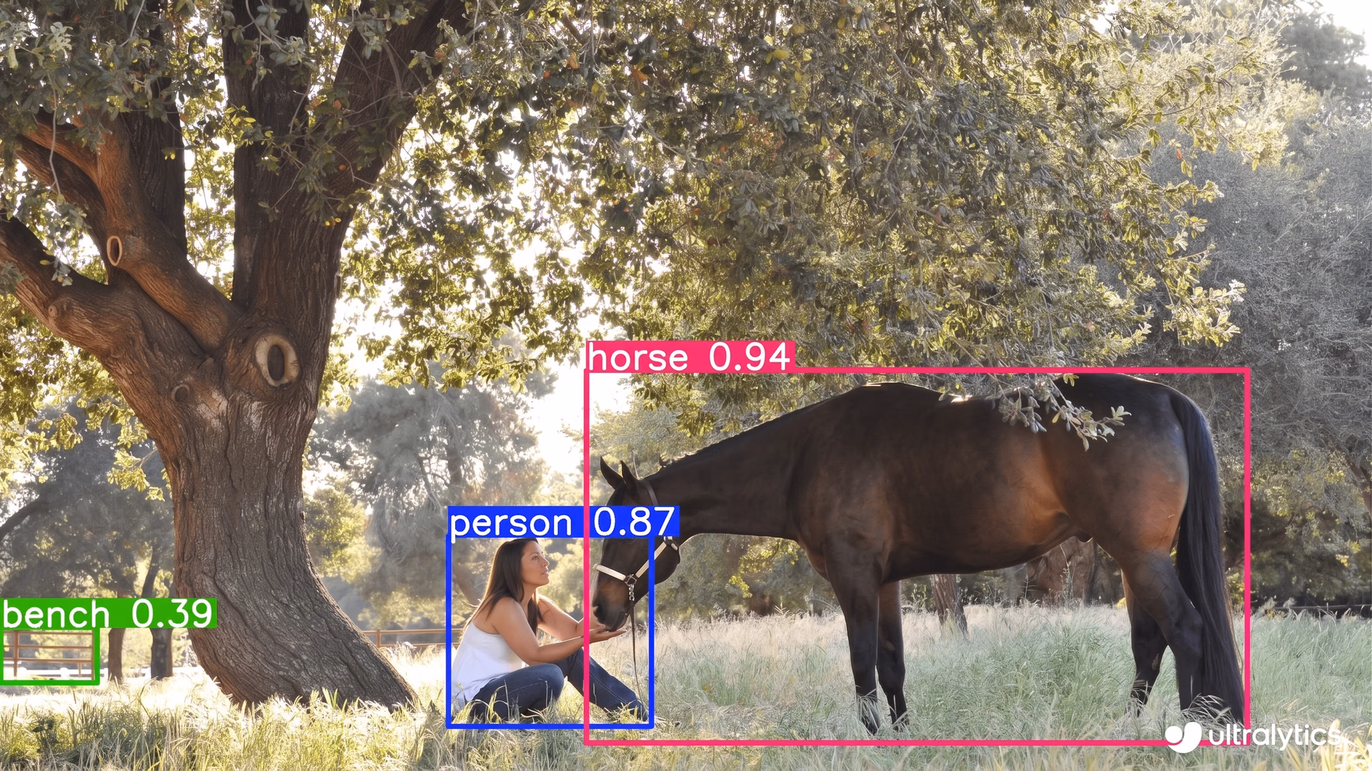 YOLO12 being used to detect objects