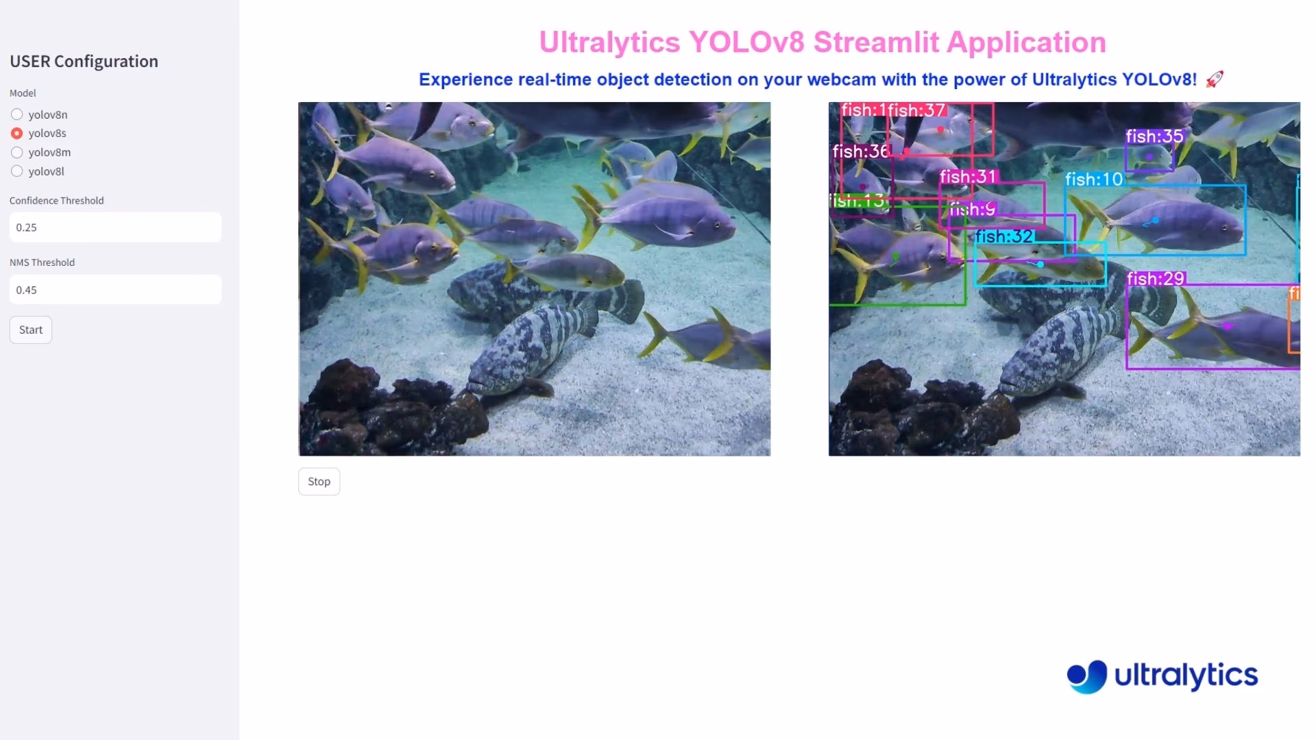 Fish Detection using Ultralytics YOLO26