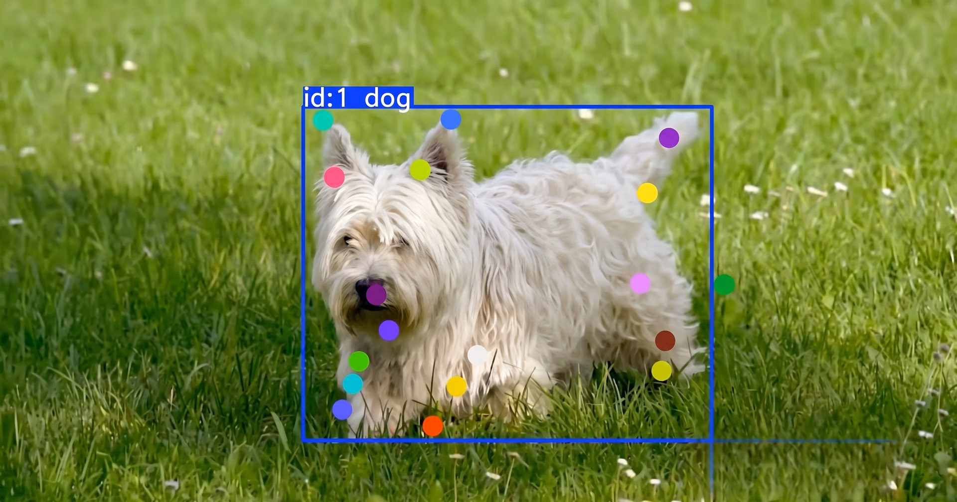 Computer Vision kann bei verschiedenen Bildverarbeitungsaufgaben helfen