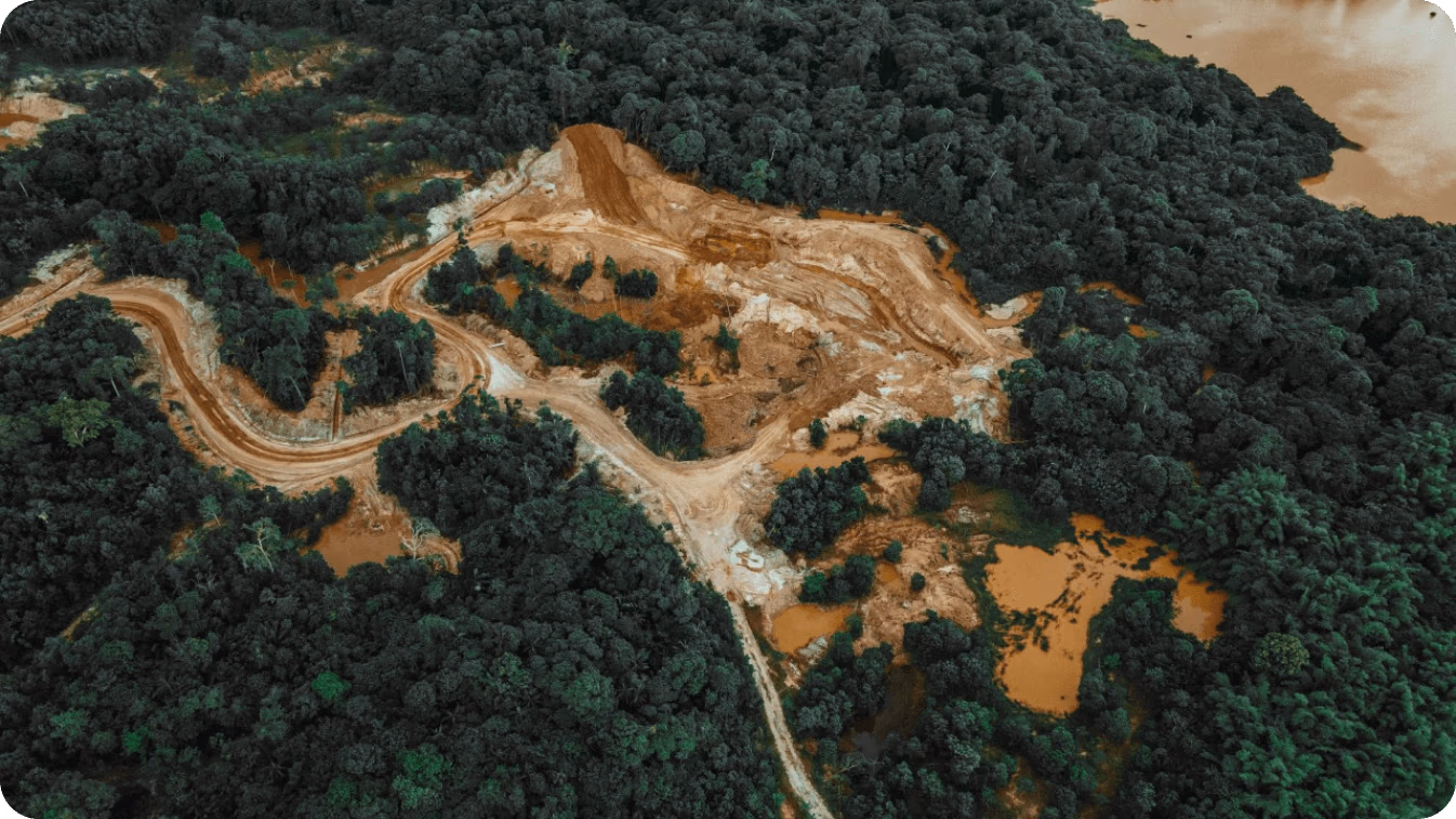 Una foresta che mostra un'estesa deforestazione