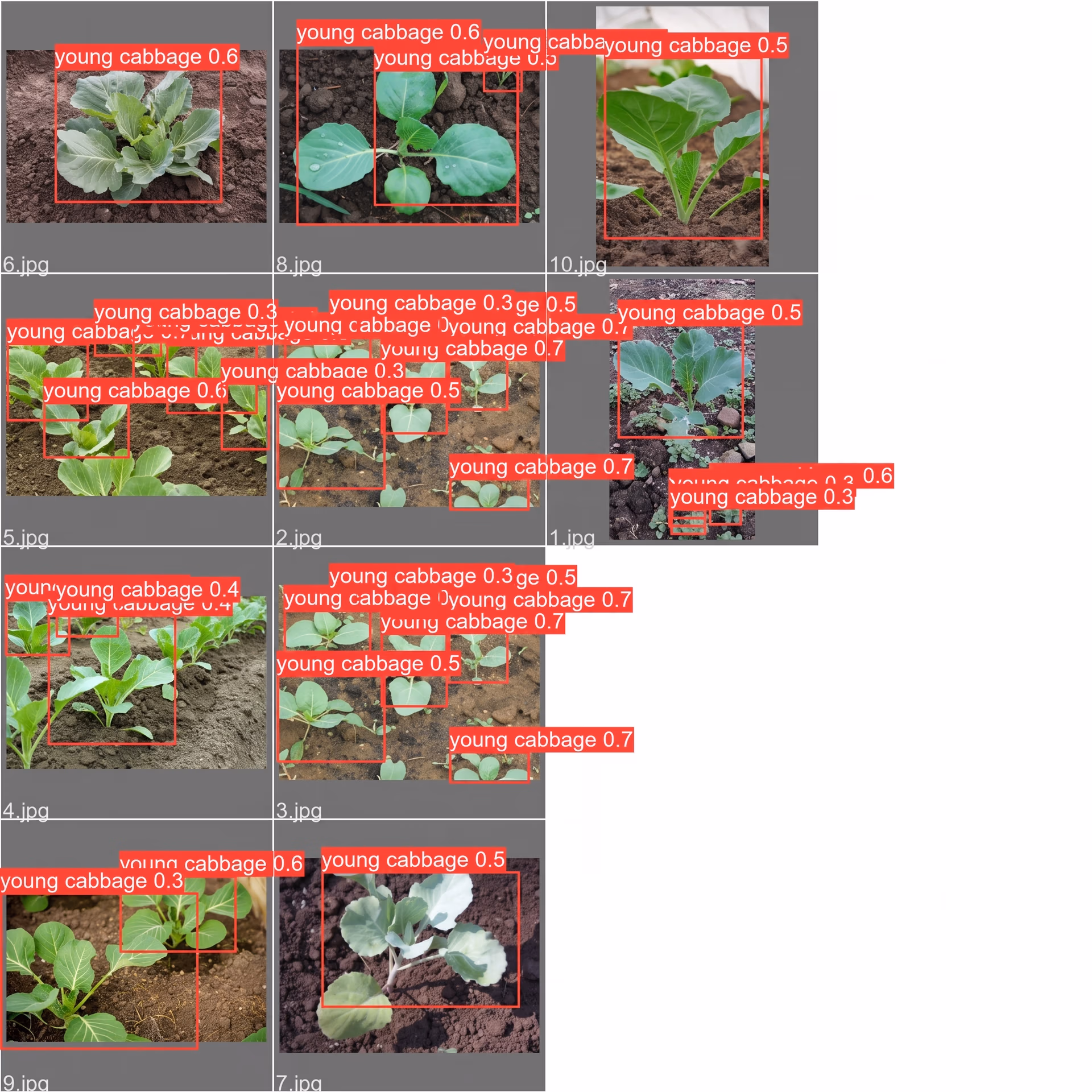 Agriculture Detection with Ultralytics YOLOv5
