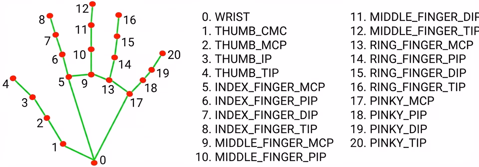 The 21 keypoints included in the Hand Keypoints dataset